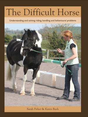 cover image of Difficult Horse